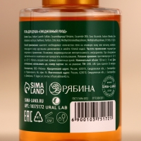 Новый Год. Гель для душа, 100 мл, аромат имбирного печенья