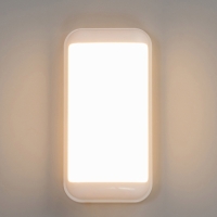 Светильник "Минимал" прямоугольник LED 10Вт 6500К (быстросъемный механизм) белый 5х12х24см   1077725