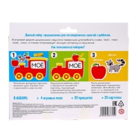 Обучающий набор с прищепками &laquo;Мой, моя, моё, мои&raquo;