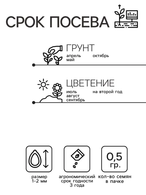 Семена цветов Нивяник "Гигант", крупноцветковый, Ц/П, 0,5 г