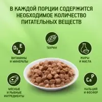 Влажный корм KiteKat для кошек, рыба в соусе, пауч, 85 г