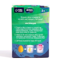 Растущие животные в яйце &laquo;Сова&raquo; МИКС