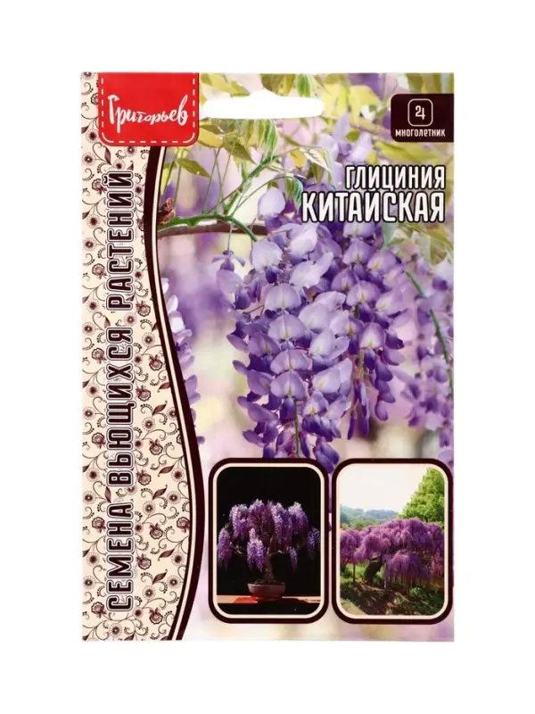 Семена цветов Глициния Китайская 3шт.  12.29 г.