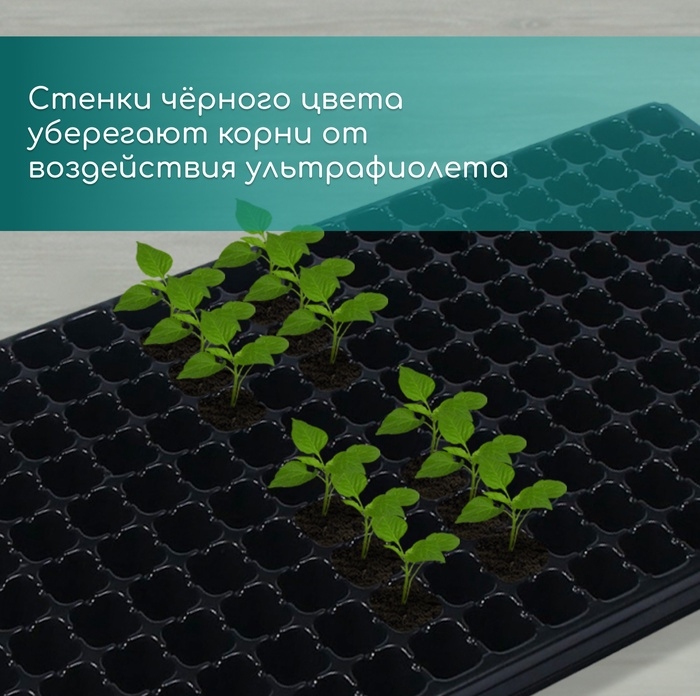 Кассета для выращивания рассады, на 200 ячеек, по 7 мл, из пластика, чёрная, 55 &times; 28 &times; 4 см, Greengo