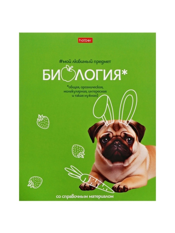 Комплект предметных тетрадей 48 листов, 12 предметов Hatber &laquo;Мой любимый предмет&raquo;, обложка мелованный картон, ламинация Soft-touch, с интерактивным сп...