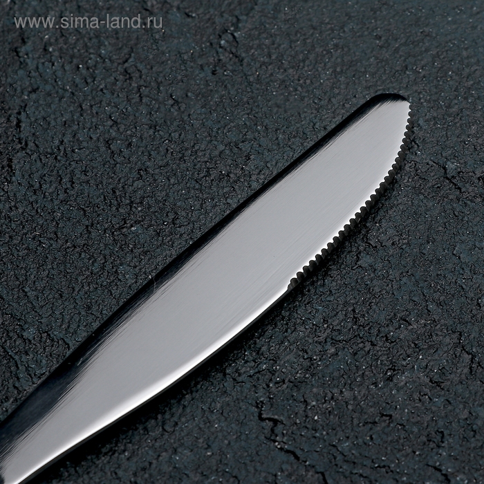 Нож столовый &laquo;Уралочка&raquo;, длина 19,5 см, толщина 2 мм, цвет серебряный