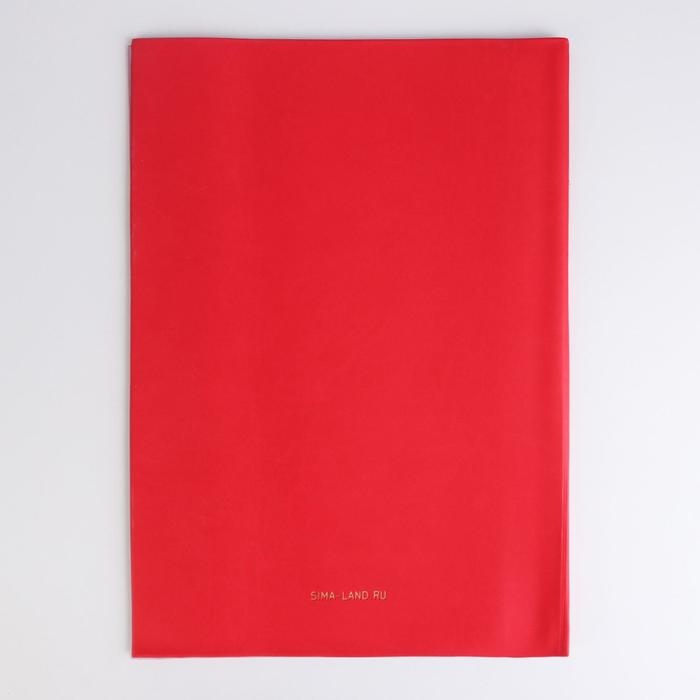 Папка для документов &laquo;Docs&raquo;, 8 файлов А4