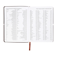 Ежедневник датированный 2025, A5 168 листов, deVENTE. Saltos, мягкая обложка кожзам, перфорация, ляссе, блок 70, коричневый