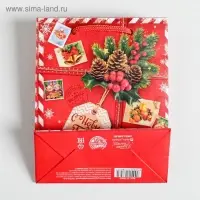 Пакет подарочный новогодний ламинированный &laquo;Подарок от Деда Мороза&raquo;, 12 х 15 х 5.5 см