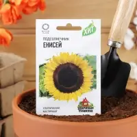 Семена Подсолнечник "Енисей", ц/п,  ХИТ х3, 5 г