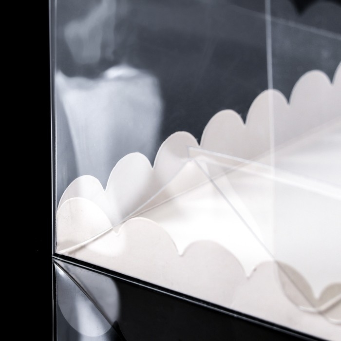 PVC Коробка для торта 20 х 20 х 20 см