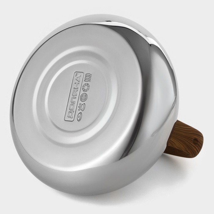 Чайник со свистком из нержавеющей стали Доляна &laquo;Квант&raquo;, 2,8 л, фиксированная ручка soft-touch, цвет хромированный