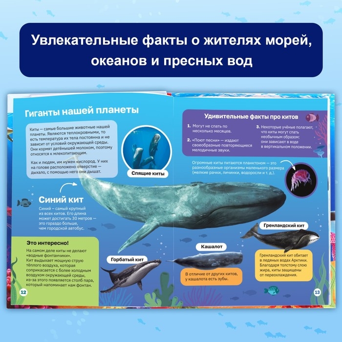 Энциклопедия в твёрдом переплёте &laquo;Подводный мир&raquo;, 48 стр.