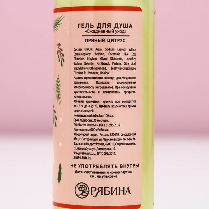 Гель для душа &laquo;Тепла и уюта в Новом Году!&raquo;, 100 мл, аромат пряного цитруса, ЧИСТОЕ СЧАСТЬЕ