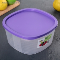 Контейнер для продуктов с мерной шкалой &laquo;BioFresh&raquo;, 2,65 л, прозрачный, крышка микс