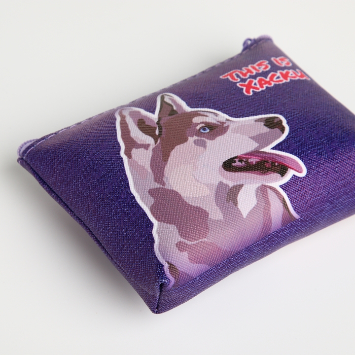 Кошелёк детский на молнии &laquo;Выбражулька&raquo;, цвет МИКС