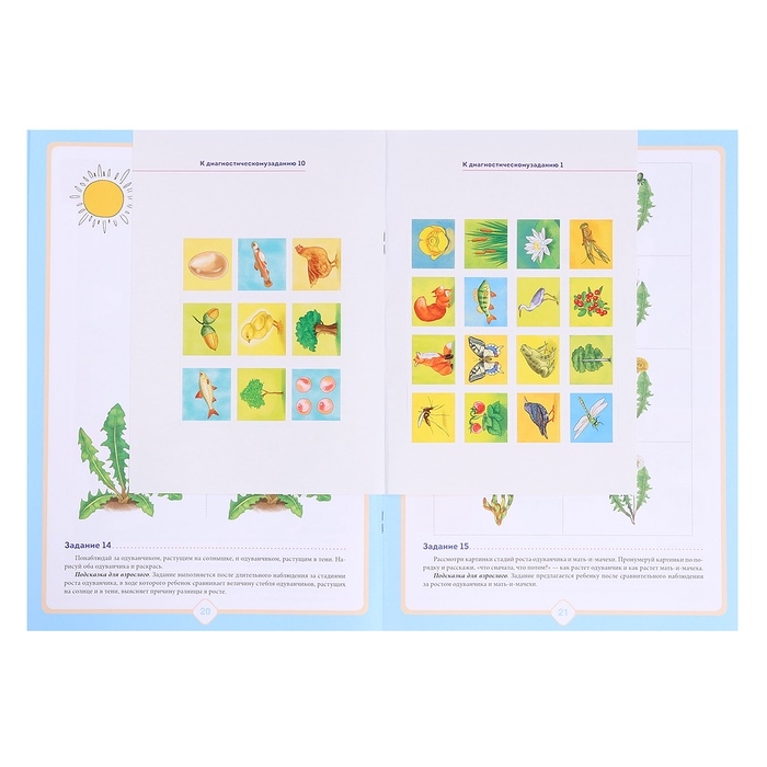 Добро пожаловать в экологию. Рабочая тетрадь №2. 5-6 лет. Воронкевич О.А.