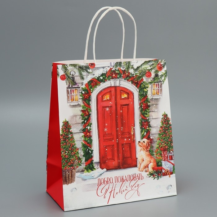 Пакет подарочный новогодний крафтовый &laquo;Добро пожаловать&raquo;, 22 х 25 х 12 см, Новый год