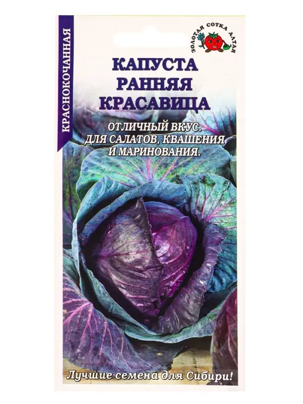 Семена Капуста краснокочанная Ранняя красавица /Сотка/ 0,3г/ раннесп. 1-2кг/*1200