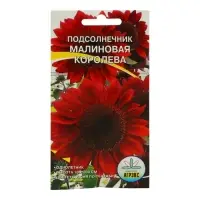 Семена цветов Подсолнечник "Малиновая королева", 10 шт