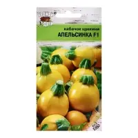 Набор семян Кабачок "Апельсинка", F1, 5 шт.