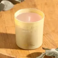 Свеча ароматическая Stella Fragrance 160 гр, Tropic Blossom