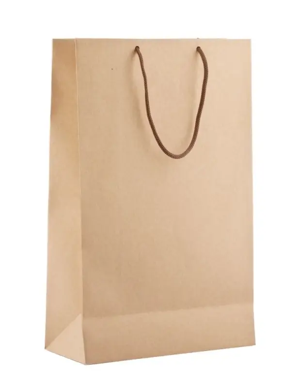 Пакет бумажный &laquo;Крафт&raquo;, M, неокрашенный