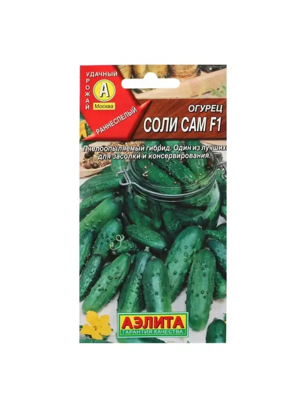 Семена Огурец "Соли сам F1", 10 шт