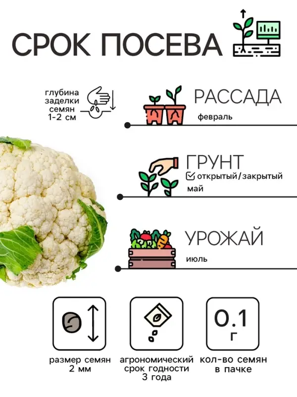 Семена Капуста цветная "Мовир 74", 0,1 г