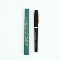 Ручка шариковая в коробке, пластик &laquo;23 февраля: Лучшему сыну, ты можешь всё&raquo;