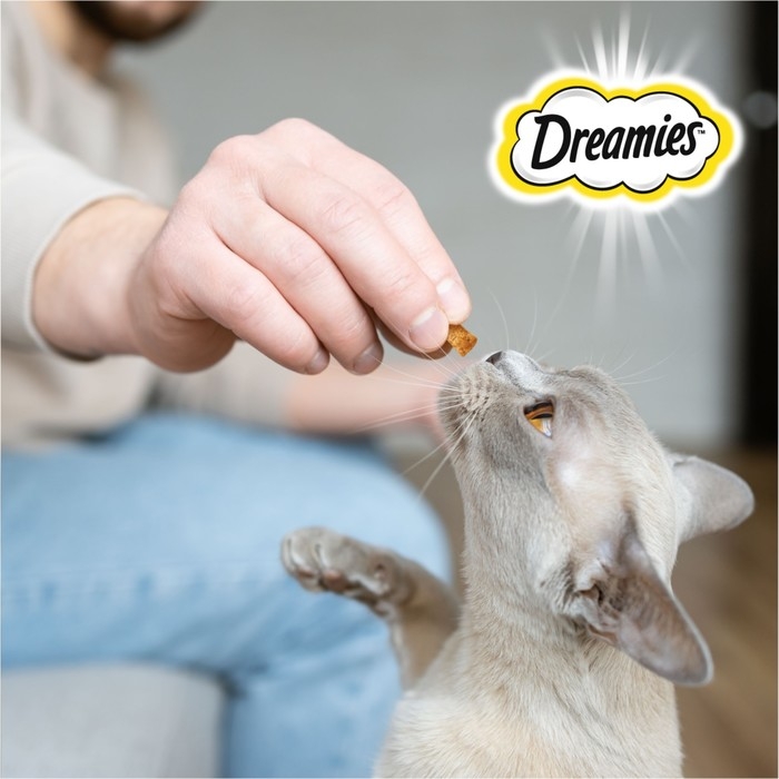 Лакомство Dreamies для кошек, говядина, 140 г Лакомство Dreamies для кошек, говядина, 140 г