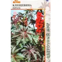 Семена Клещевина "Импала" 4 шт