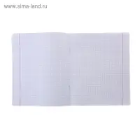 Тетрадь 24 листа клетка &laquo;Великолепная пятёрка&raquo;, бумажная обложка, МИКС