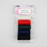 Набор ниток &laquo;Базовый&raquo;, 40/2, 200 м, 5 шт, цвет разноцветный