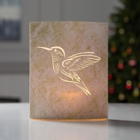 Светодиодная фигура &laquo;Колибри&raquo; 13 &times; 16 &times; 5 см, картон, батарейка ААх2 (не в комплекте), свечение тёплое белое