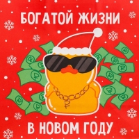 Пакет подарочный новогодний крафтовый &laquo;Что-то на богатом&raquo;, 22 х 22 х 11 см