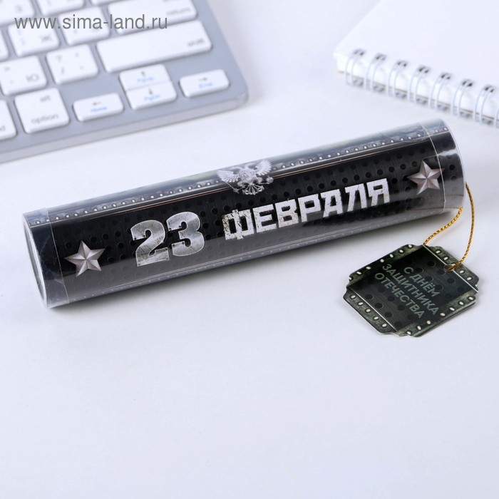 Ручка шариковая синяя паста в тубусе "23 февраля", пластик