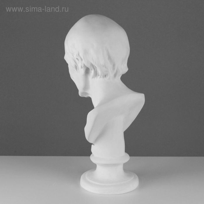 Гипсовая фигура Голова Вольтера, 20 х 26 х 48 см