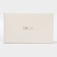 Коробка для десерта &laquo;Веточки&raquo;, 22 х 8 х 13,5 см, Новый год