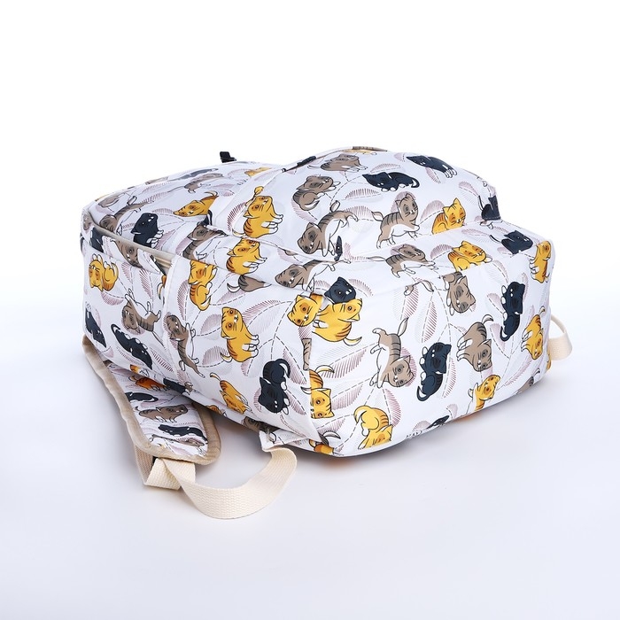 Рюкзак школьный из текстиля на молнии, 3 кармана, пенал, цвет белый/разноцветный