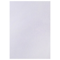 Набор 5л ватман чертежный А0 (840х1189) 160г/м2 ВА0