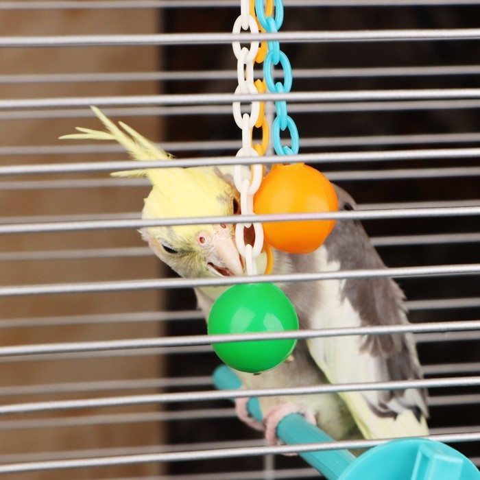 Игрушка для птиц  "Погремушка", микс