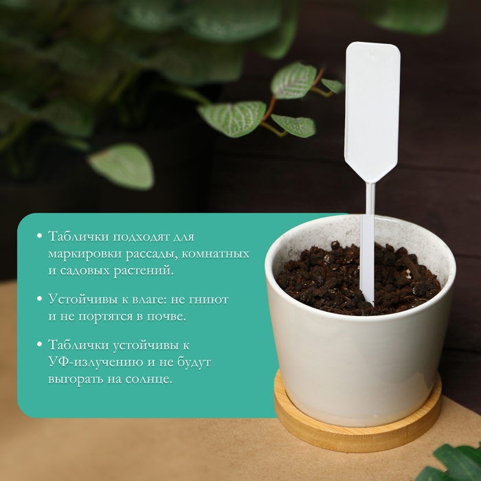 Таблички садовые для маркировки, 15 см, с карандашом, набор 20 шт., пластик