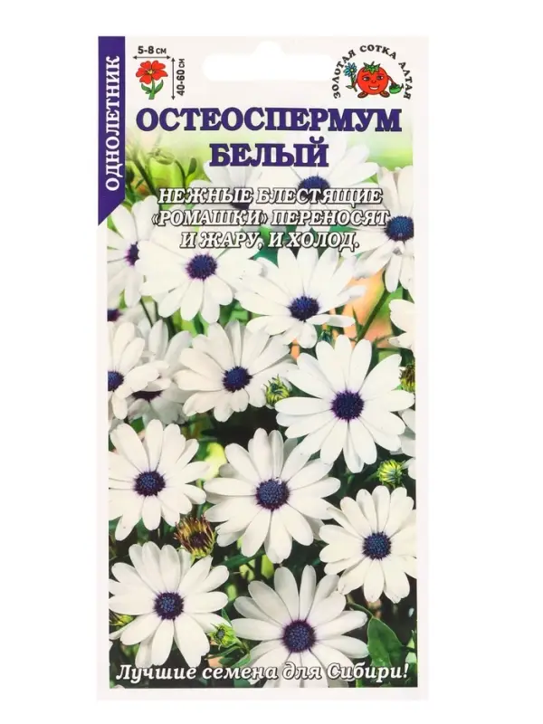 Семена Остеоспермум Белый /Сотка/ 0,1г/ h-60см, d-8см/*1200