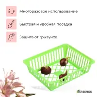 Корзина для луковичных, квадратная, 25&times;20 см, зелёная, Greengo