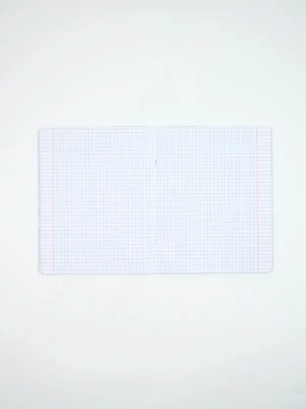 Тетради в клетку, 48 л., набор из 5 шт., блок №1 &laquo;Нюд&raquo;