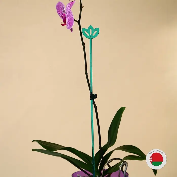 Опора для орхидей, h=44 см, пластик, бирюзовая, МИКС