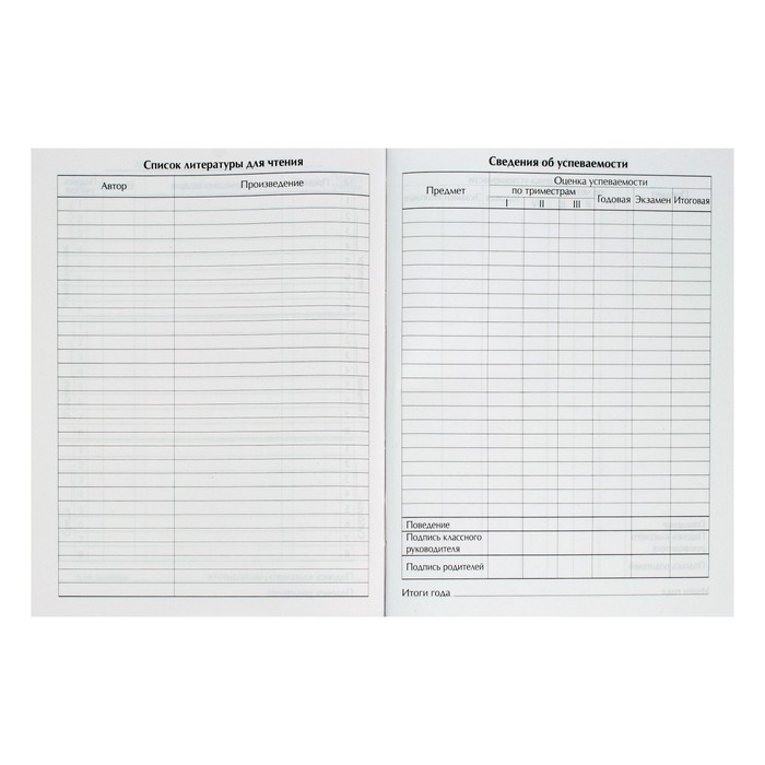 Дневник школьный для 1-11 классов, &laquo;Граффити&raquo;, твёрдая обложка 7БЦ, глянцевая ламинация, 40 листов