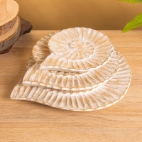 Набор сувенирный &laquo;Ракушки&raquo;, 28 см, 23 см, 18 см, дерево, бежевый