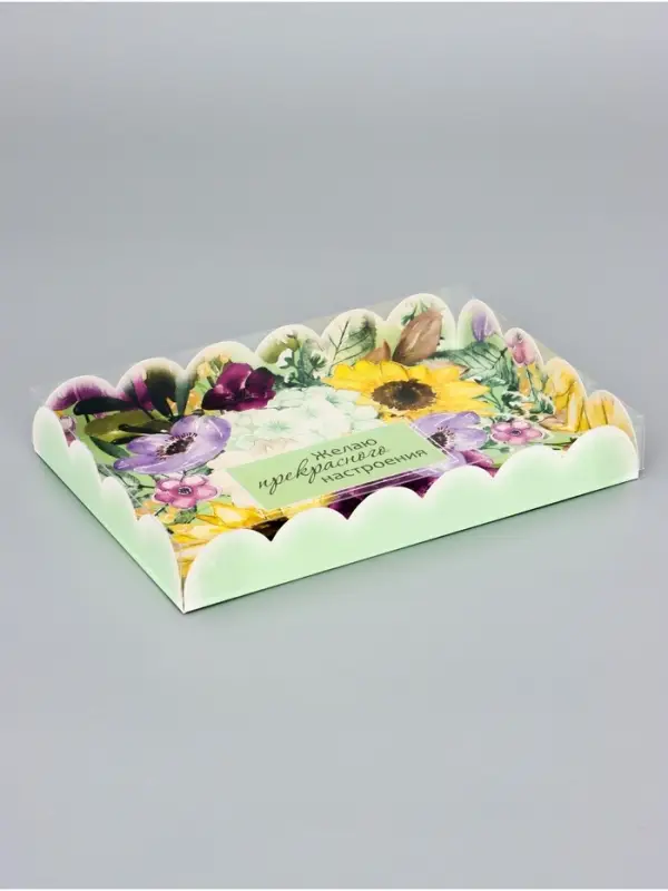 Коробка для печенья, &laquo;Комплимент&raquo;, 22&times;15&times;3 см